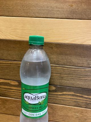 Agua Con Gas (500 Ml.)