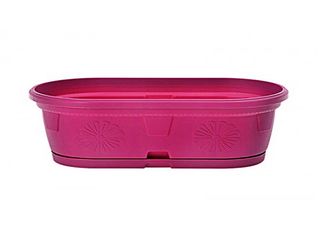 Сандъче, циклама, голямо