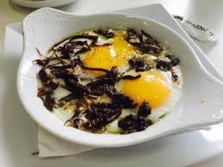 Khlie avec deux oeufs