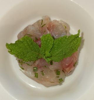 T9.  Tartare mojito
