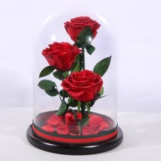 Cúpula con tres rosas