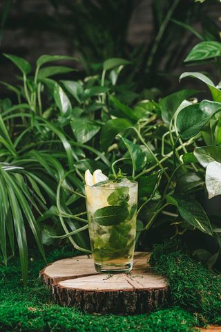 АНАНАС-МЯТА  (400 мл.)