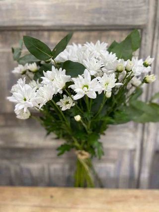 Ramo De Margaritas Blancas