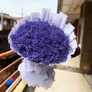 Purple Baby’S Breath of 6batches