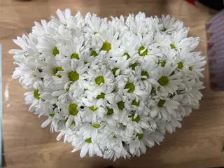 თეთრი ქრიზანემები გულის ფორმით
