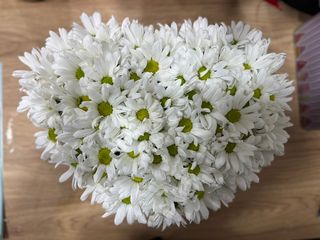 თეთრი ქრიზანემები გულის ფორმით