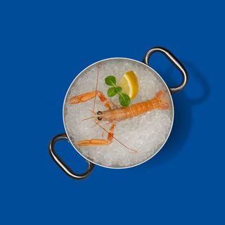 Tartare di scampi 50 g