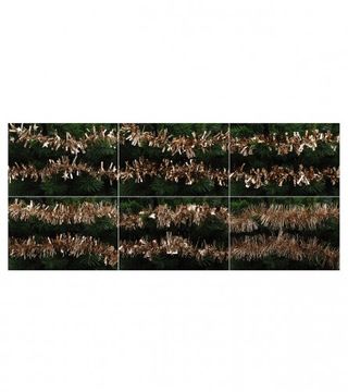 (134733) Traka šljokice 180cm CAA563461