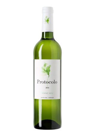 Vino Blanco - Protocolo (750Ml)
