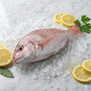 Pezzogna fresca 1 kg 
