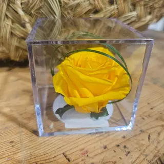 Cubo con Rosa ETERNA AMARILLA