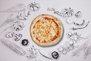 Pizza Pollo Ø33cm