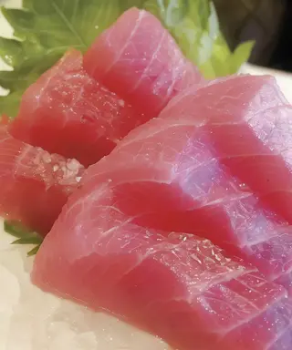Sashimi maguro
