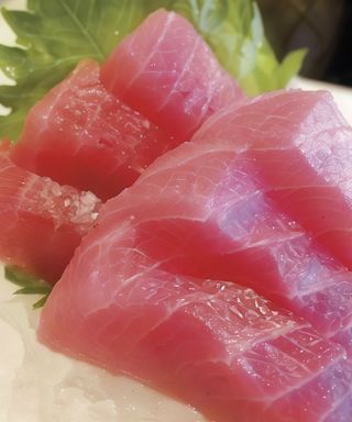 Sashimi maguro