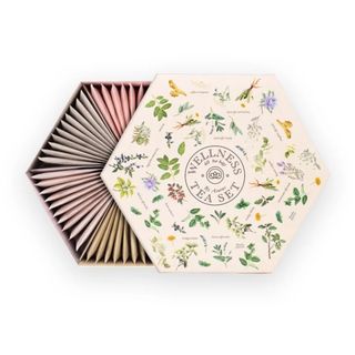 Acorus Wellness Tea Set - Assortimento 60 Filtri Tisane