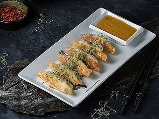 Гьодза з лососем та куркою (130/25g)