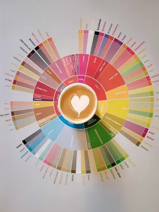 Flat White - 240 ml