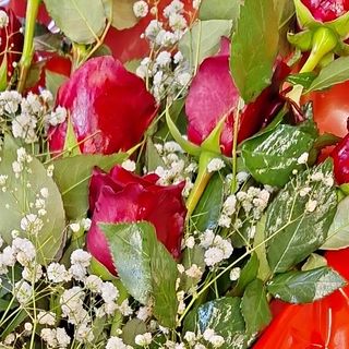 5 rose rosse  con nebbiolina 