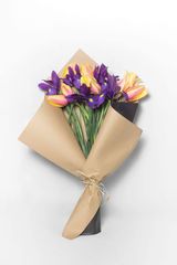 ტიტები & ირისი მიქსი