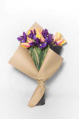 ტიტები & ირისი მიქსი