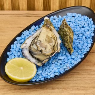 Gallega rizada (España?)