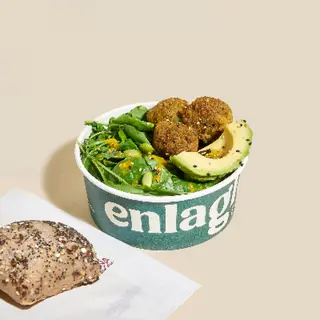 Falafel Plate