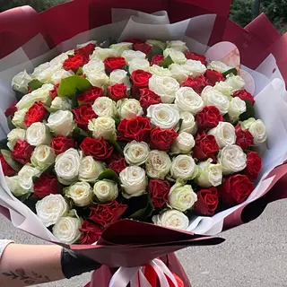 Класика завжди в Моді