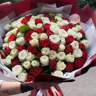 Класика завжди в Моді