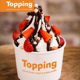 Helado De Yogur Natural Tarrina (Mediana)