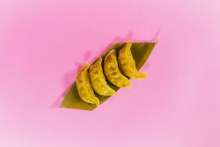 Gyoza verdure 4pezzi