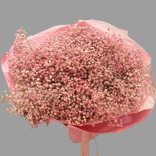 Bukiet różowej gipsophili