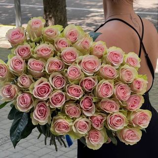 троянда Фрутетто