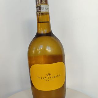 Gavi Di Gavi, Villa Sparina