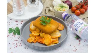 Cascaval pane cu pesmet auriu,rondele crocante de cartofi,salata de varza alba,apa plata