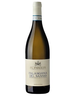 Falanghina del Sannio 2023