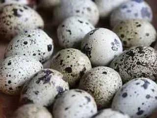 ЯЙЦЕ ПЕРЕПЕЛИНЕ