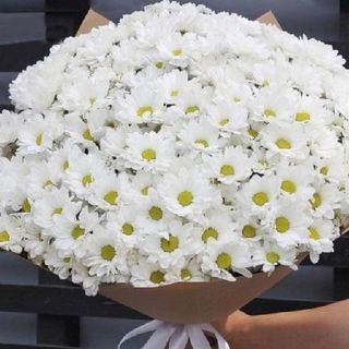 Ramo de Margaritas Blancas