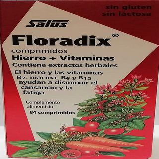 Floradix (84 Comprimidos)