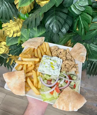 Gyros Plate (Halal)