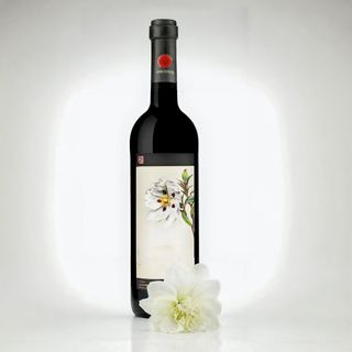 Vinho Esteva Tinto