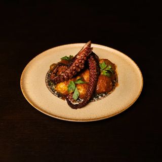 Tentacule de caracatiță