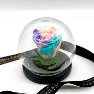 Cloche Eternal SunRise