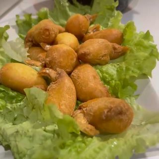 GAMBA GABARDINA