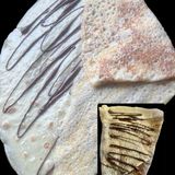 Crep Xocolata Amb Llet