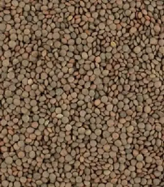 Lenteja Pardina (1 Kg.)