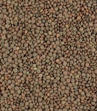 Lenteja Pardina (1 Kg.)
