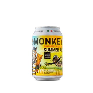 Birra Summer lattina Mastri Birrai