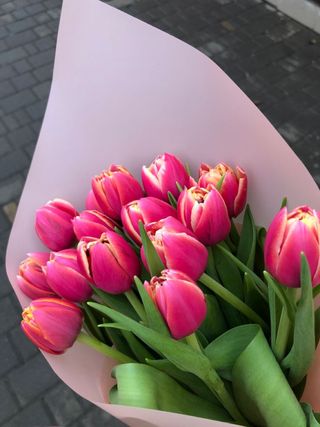 ვარდისფერი ტიტები