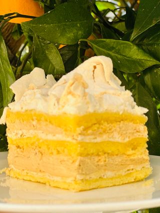 ნამცხვარი თეთრი დათვი 