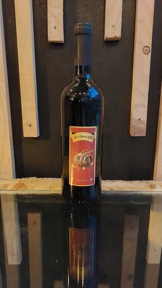 Vino Aglianico (750 Cl.)